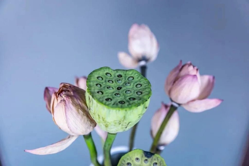 顺境，就一定是好事吗？