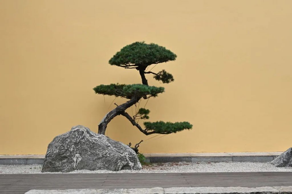 此时初夏莲始开 ｜庐山东林寺2023年6月上旬十天百万佛号闭关分享