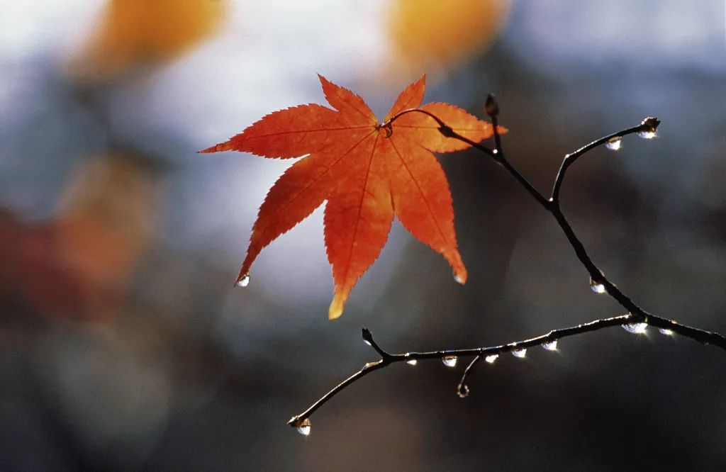 生病时，如果“身苦”在所难免，如何少受些“心苦”？