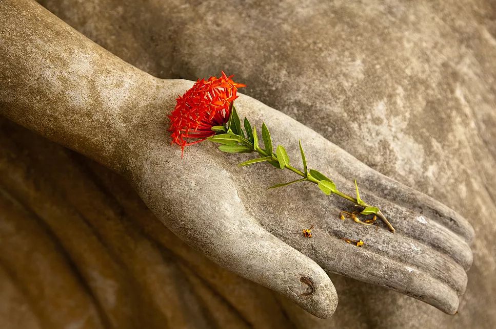 【佛教知识】佛经中的“五不翻”指的是什么？