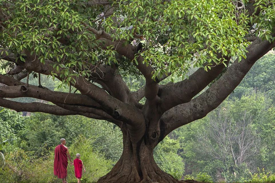 【佛教知识】佛经中的“五不翻”指的是什么？