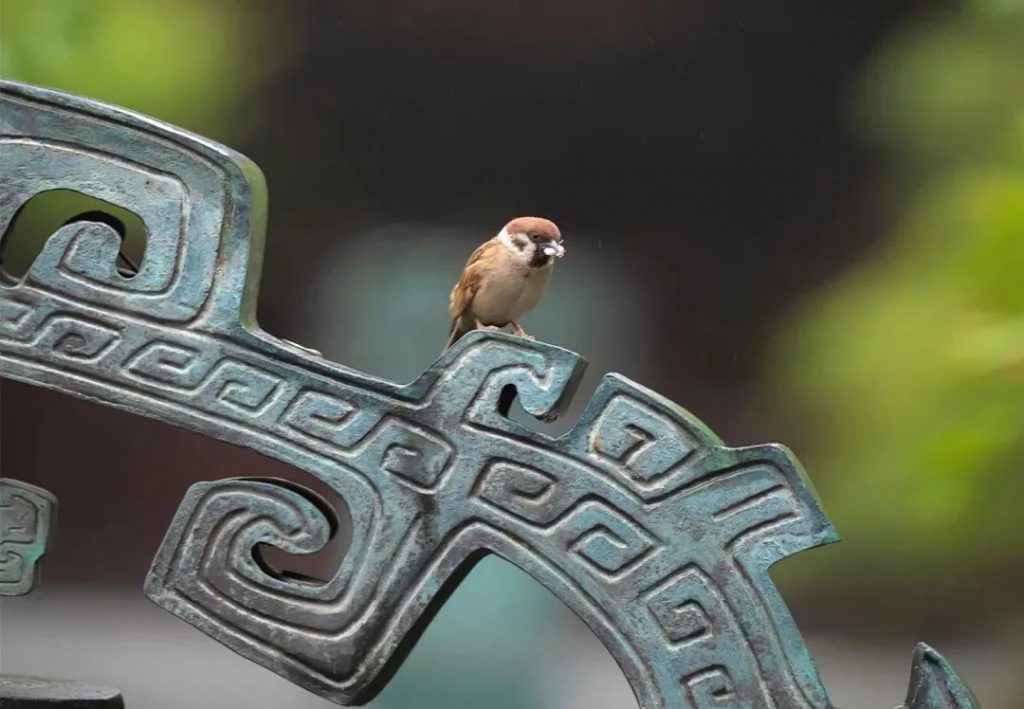 清净口业，以行为善