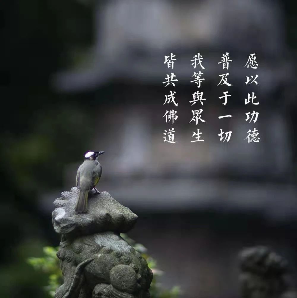 新闻｜杭州灵隐寺举办2023年第二期皈依弟子回堂修学活动​