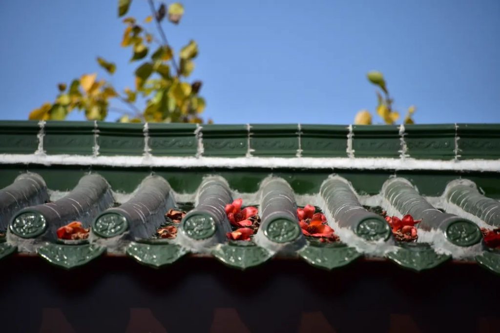 月度共修祈福｜甩掉烦恼，从对治“五毒”开始！来寺一起为自己和7月生日的ta祈福吧！