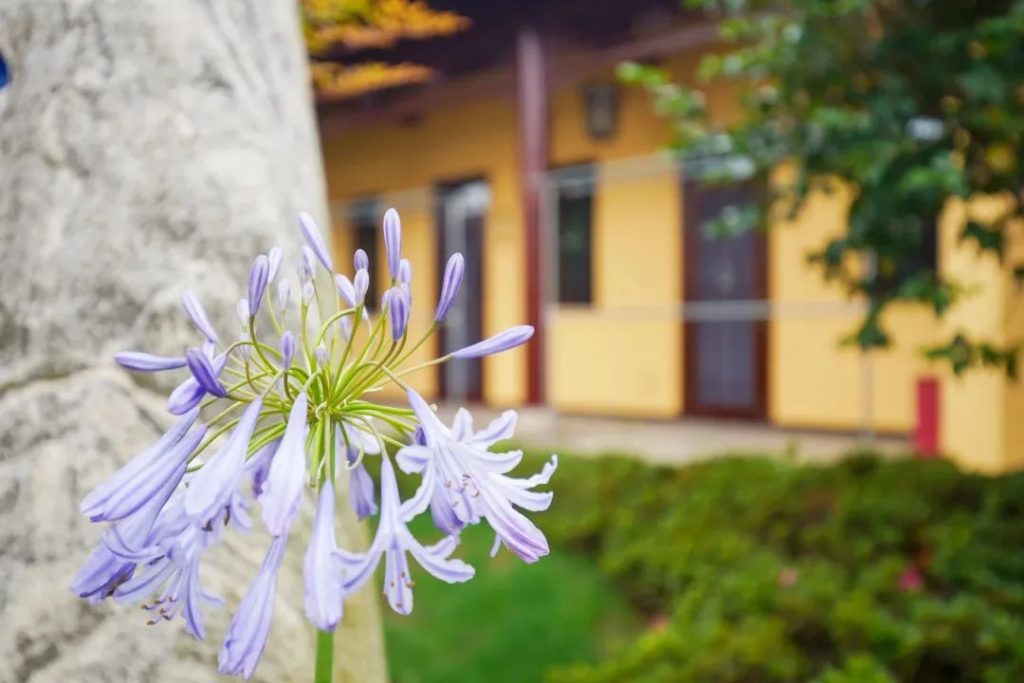 拉着佛的手，信愿作慈舟 | 6月下旬百万佛号闭关圆满