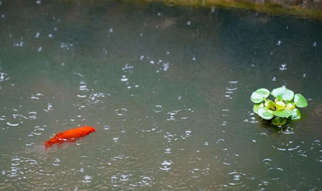 拉着佛的手，信愿作慈舟 | 6月下旬百万佛号闭关圆满