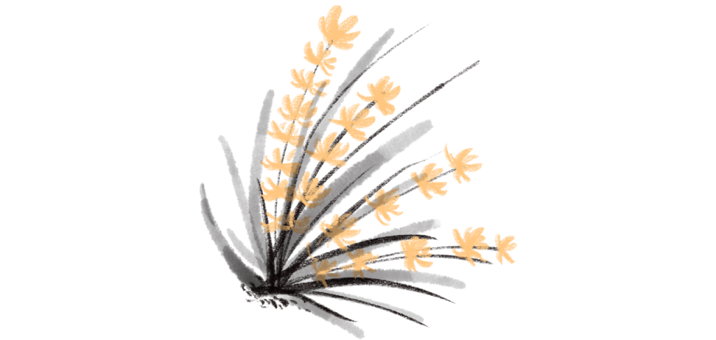 济群法师：莫负祖师意，莫负眼前茶