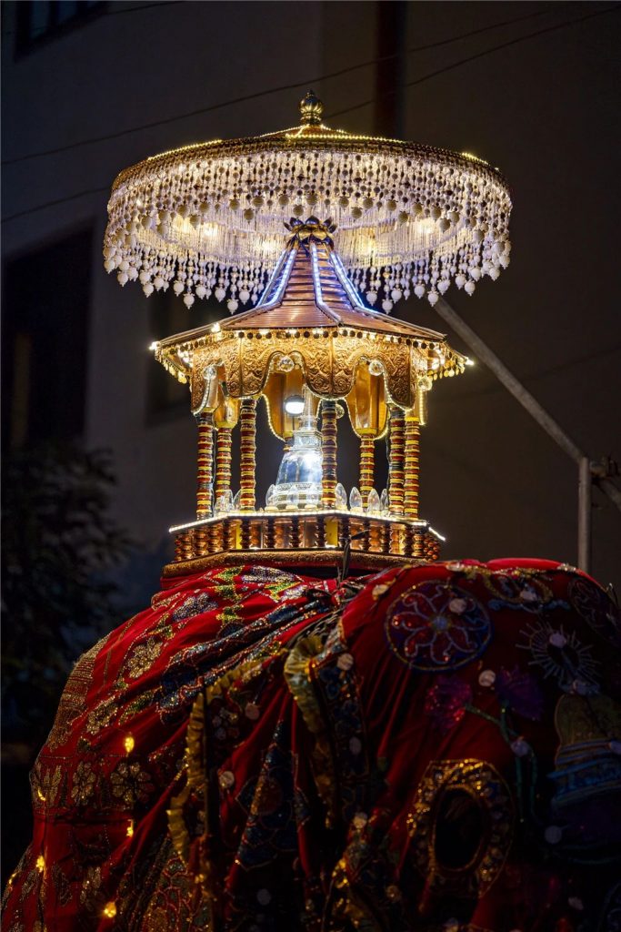 高清图集 | 祈愿世界和平法会