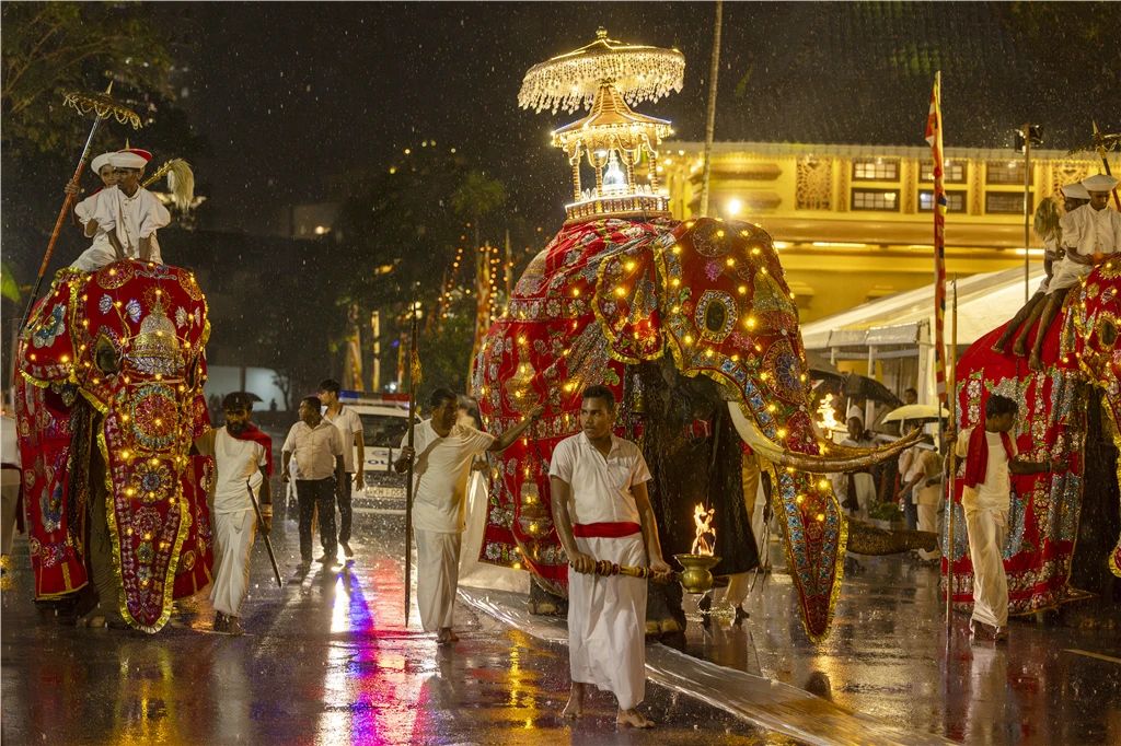 高清图集 | 祈愿世界和平法会