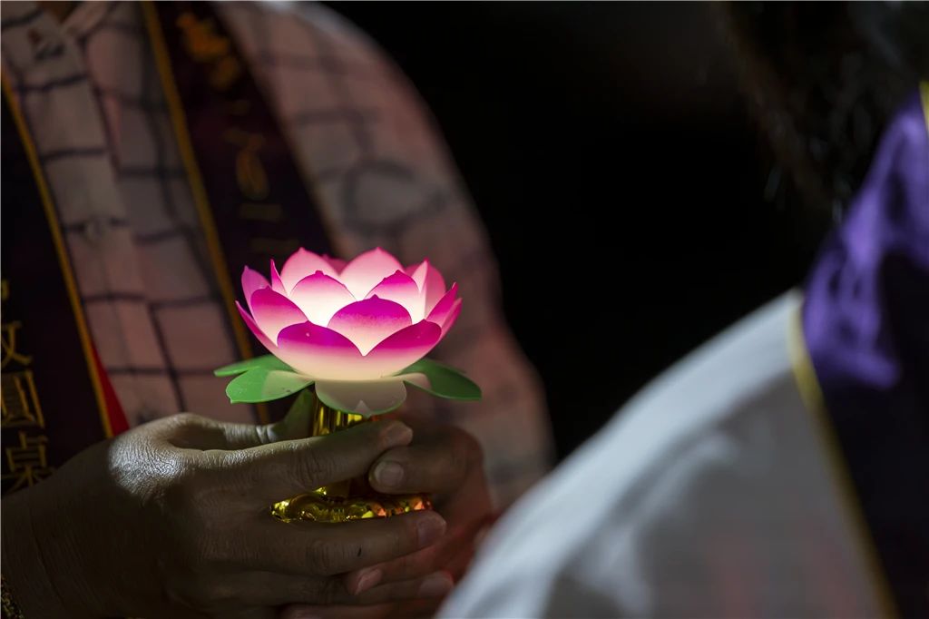 高清图集 | 祈愿世界和平法会