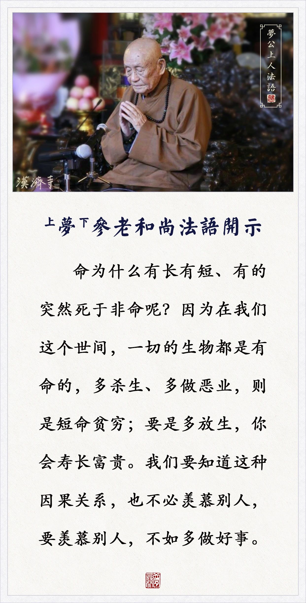 梦参老和尚：多放生，你会寿长富贵