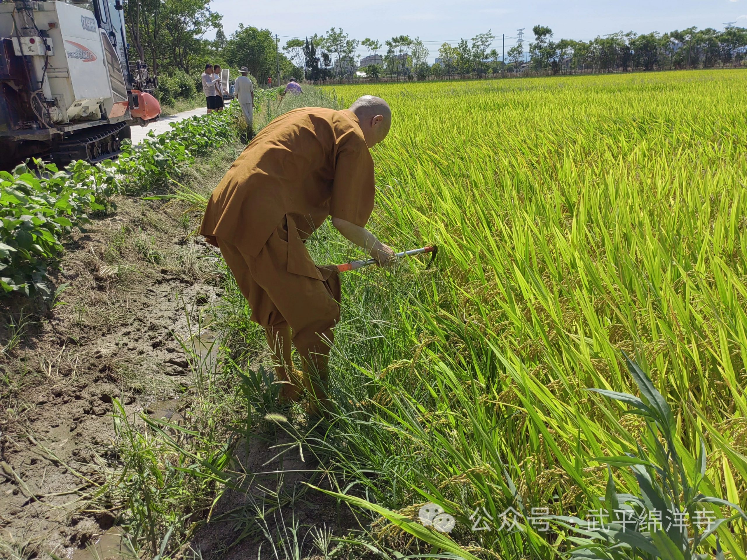 当度法师：禅宗故事 归宗斩蛇