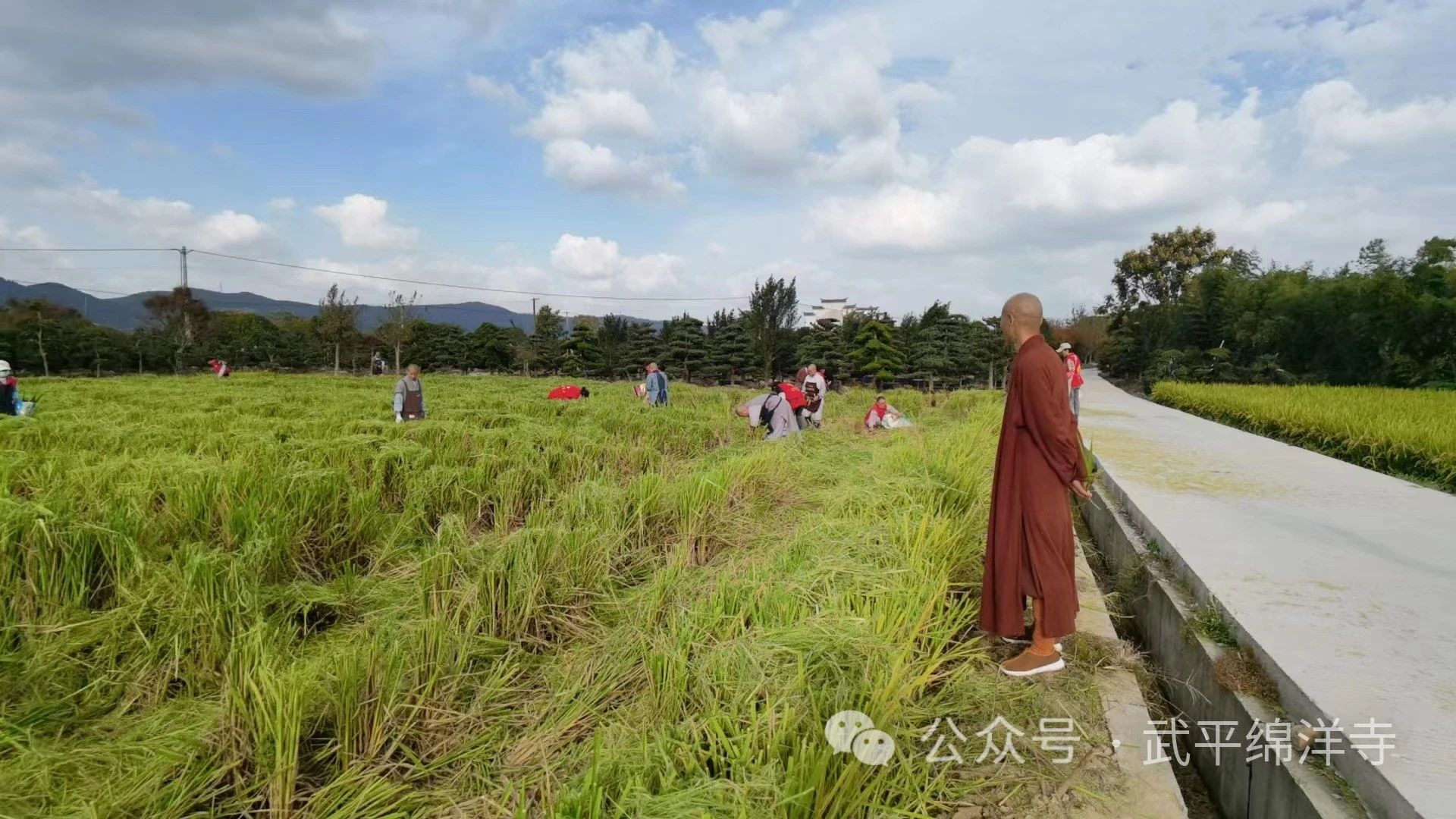 当度法师：禅宗故事 归宗斩蛇