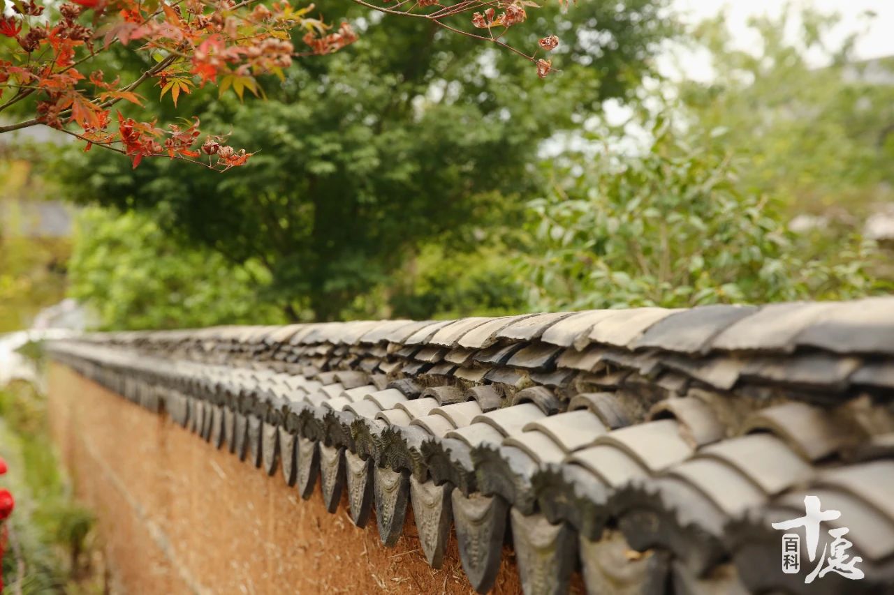 倓虚大师讲述“晒蜡”傻和尚如何逆袭为佛门高僧