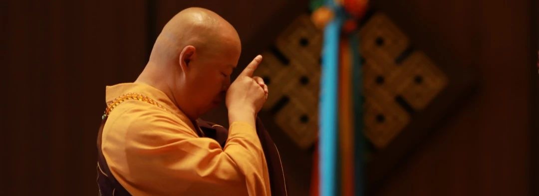 中国驻尼泊尔大使会见印顺大和尚一行