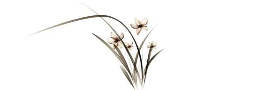 济群法师：生命中最重要的能力