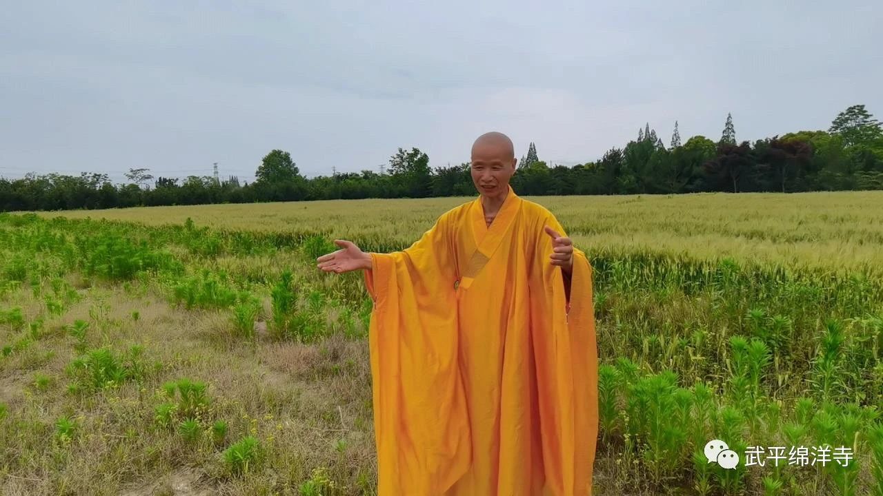 當度法师：怎样做一个圆满的人