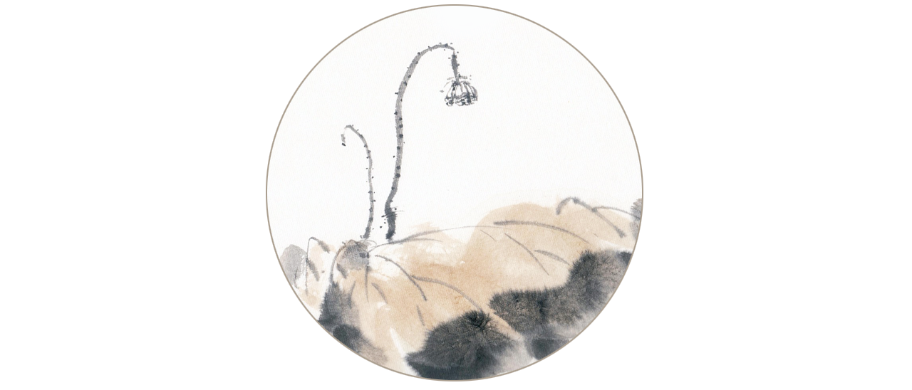 济群法师：只因那一念心动