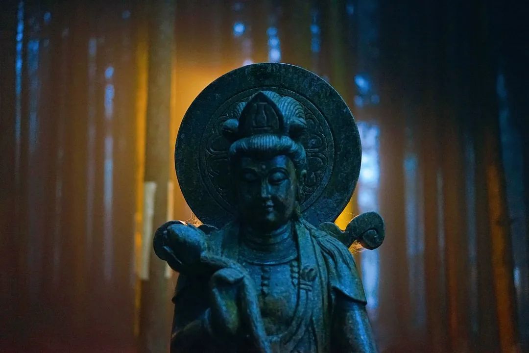  21天基础止观营 | 升级身心操作系统，化解人生困局