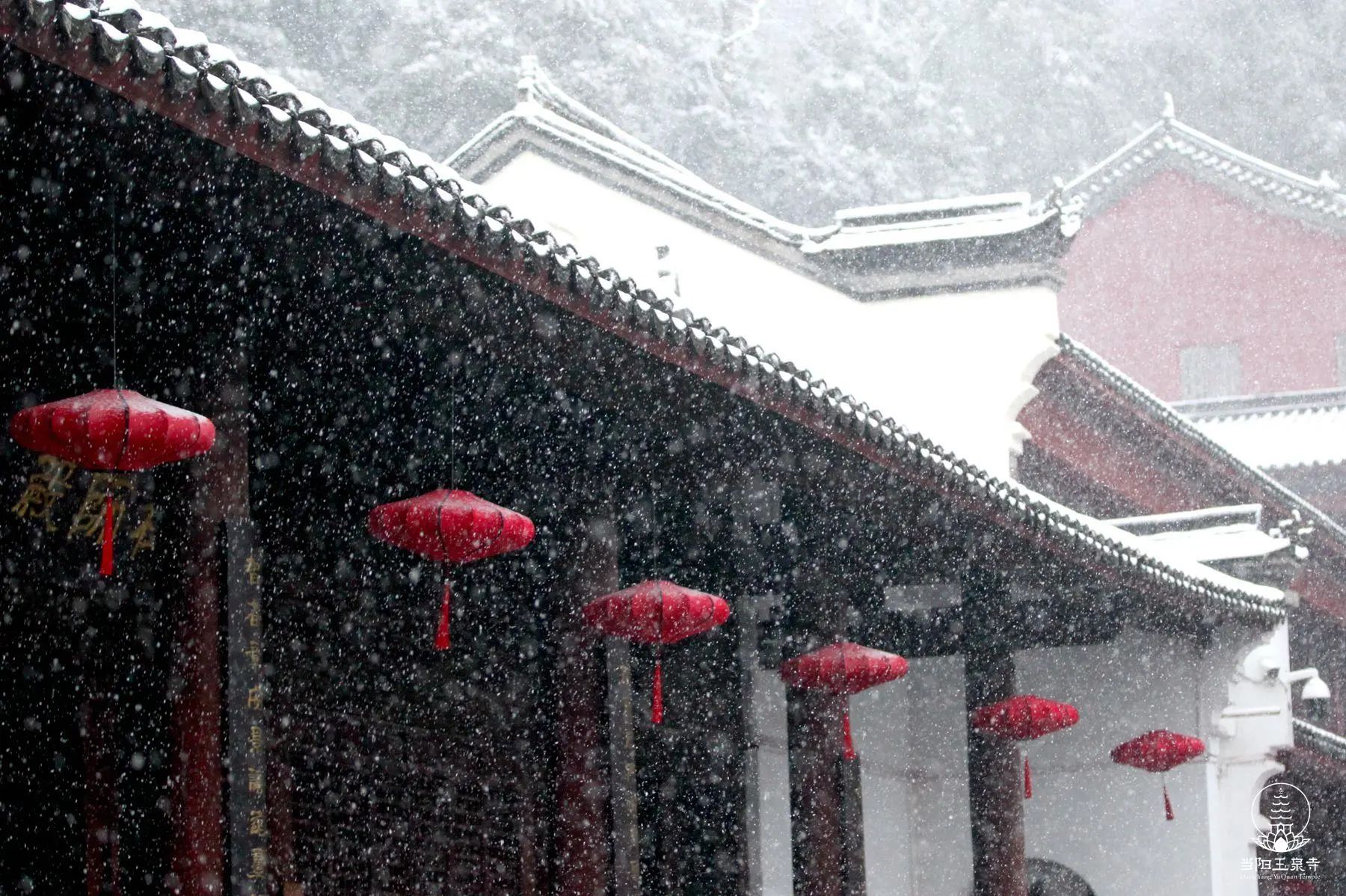 太虚大师：大乘佛法之宗要