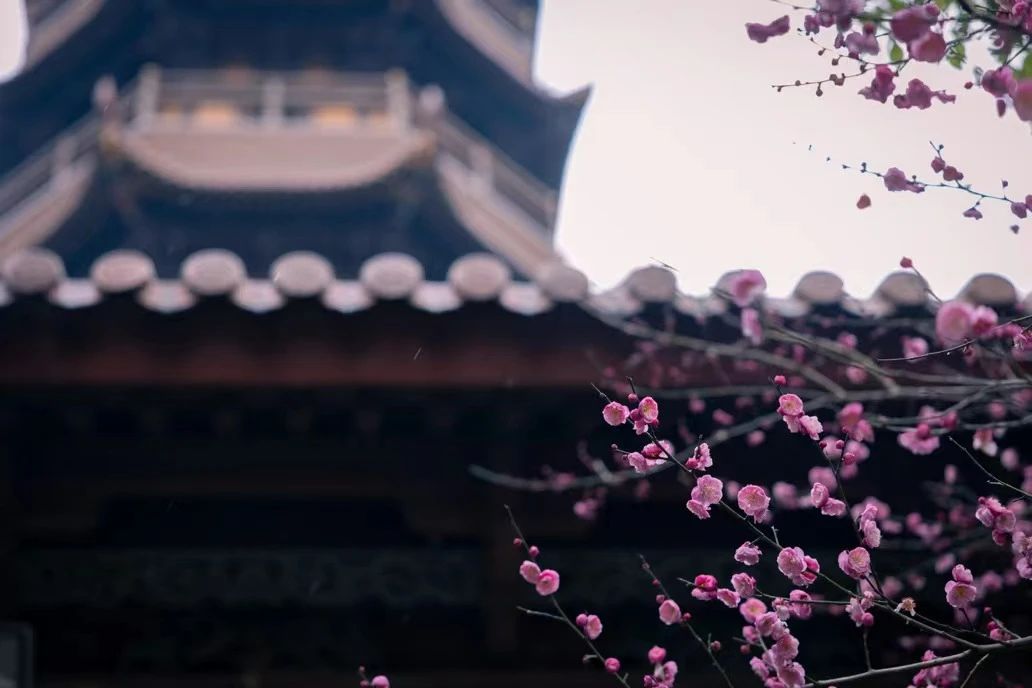 三参法师：今日无事？那就做更大的事