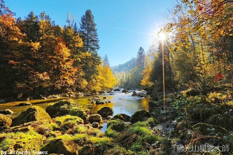 星雲大師：忍得过