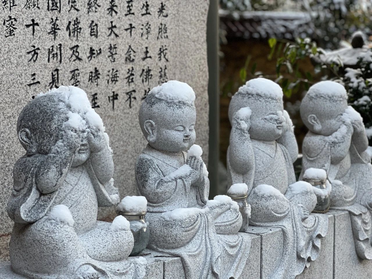 特辑 | 农历腊月十七，净土宗十二祖彻悟大师圆寂日