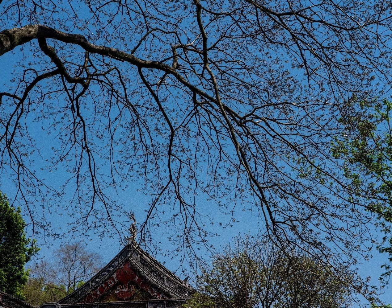 紫柏真可禅师：如我无心，则物亦随无心而化矣