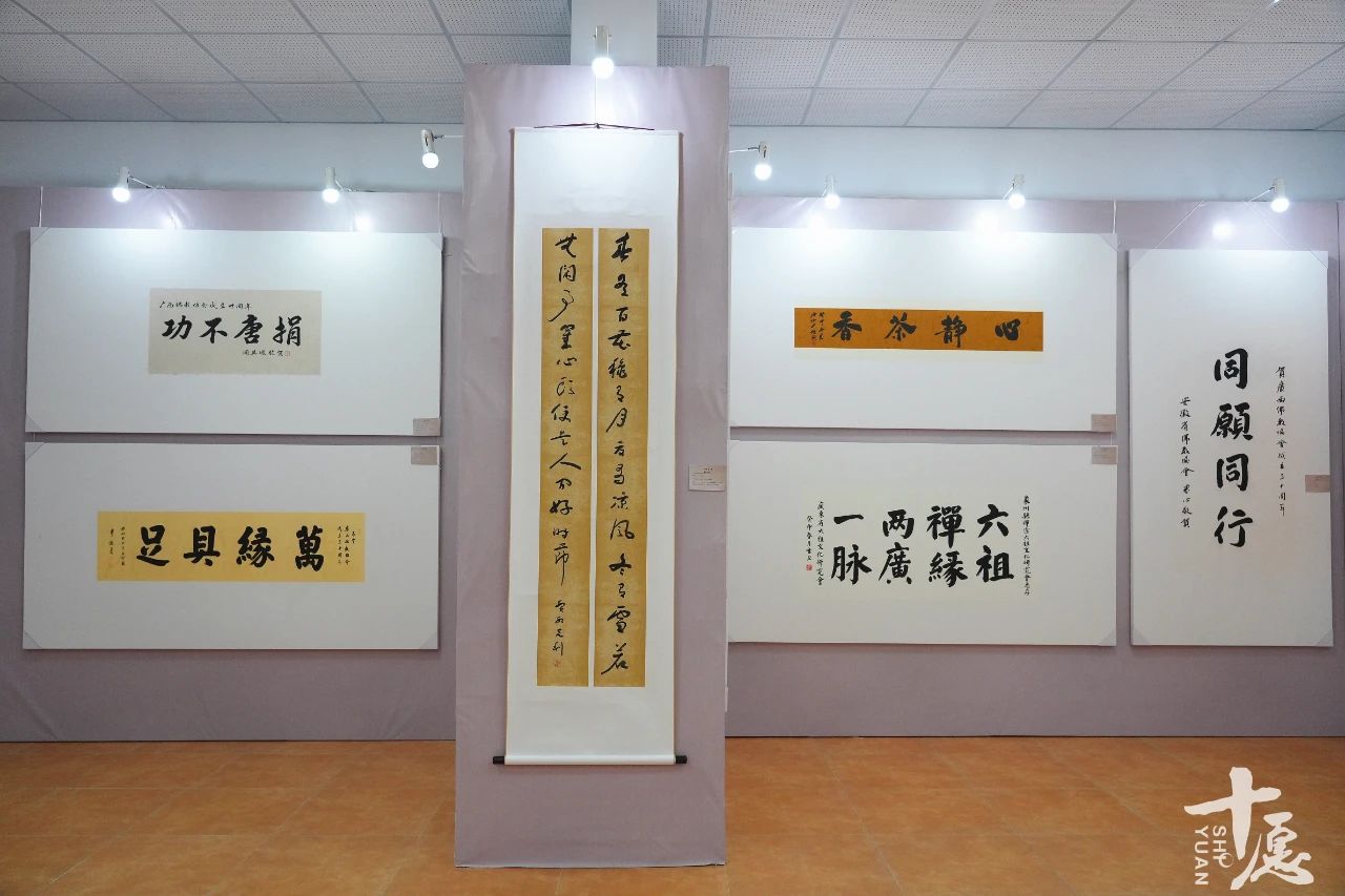 共同见证：广西佛教协会成立三十周年纪念会全记录