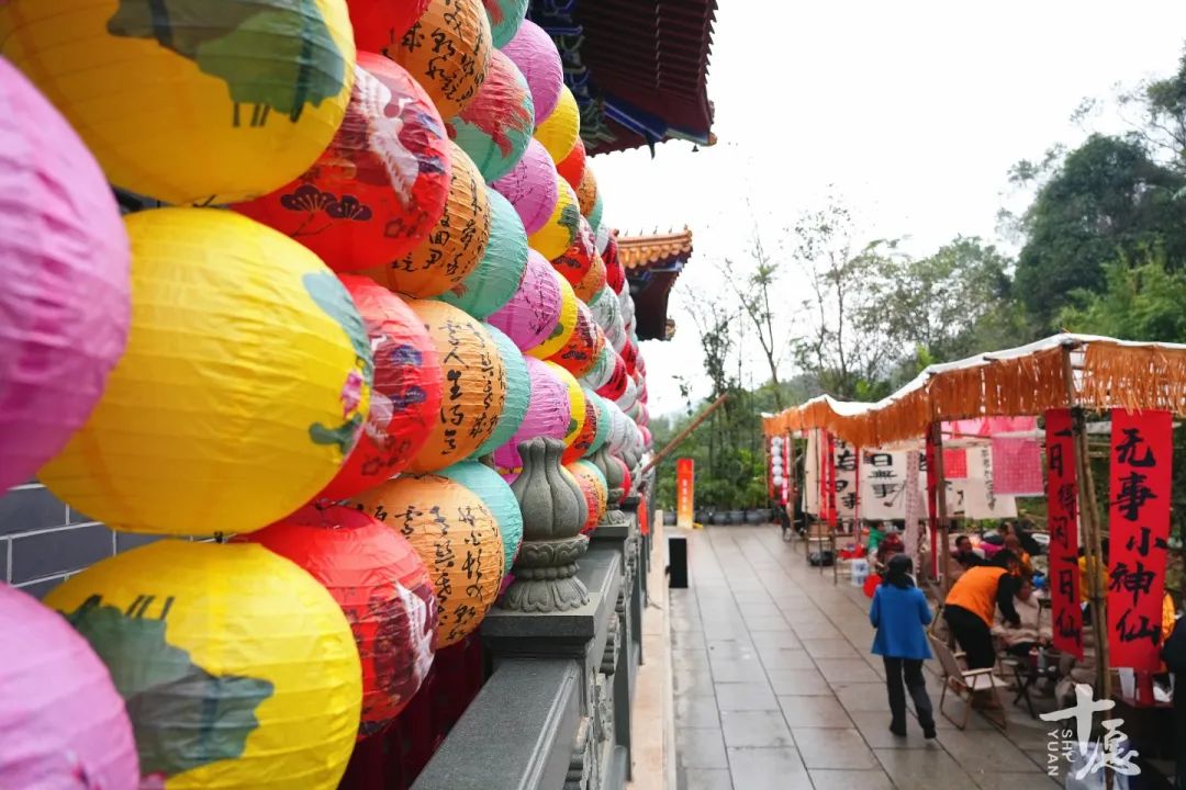 共同见证：广西佛教协会成立三十周年纪念会全记录