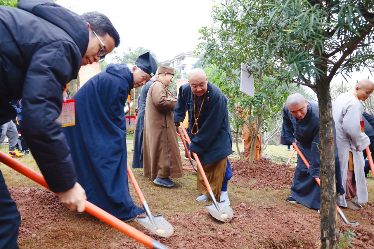 共同见证：广西佛教协会成立三十周年纪念会全记录