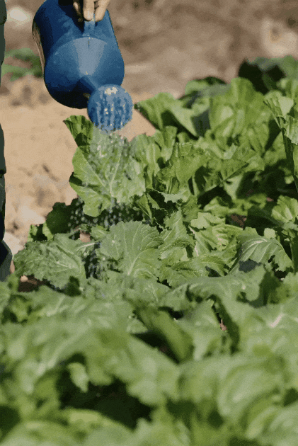 第一批搬进寺院养老的人