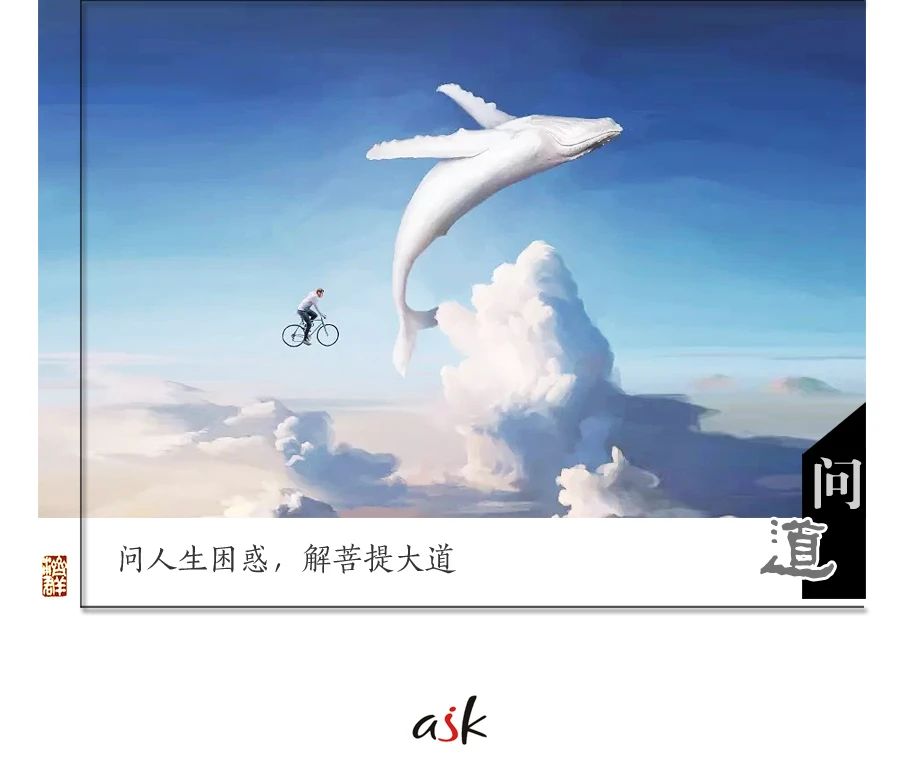 济群法师：一路追，一路问