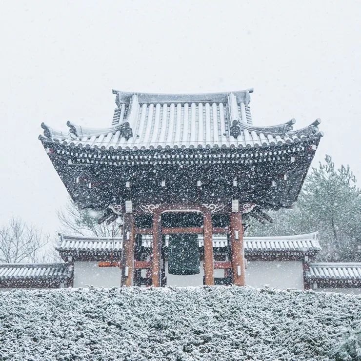 一位出家人的禅旅自述：雪落天台山，这一刻我像是候鸟找到了回家路