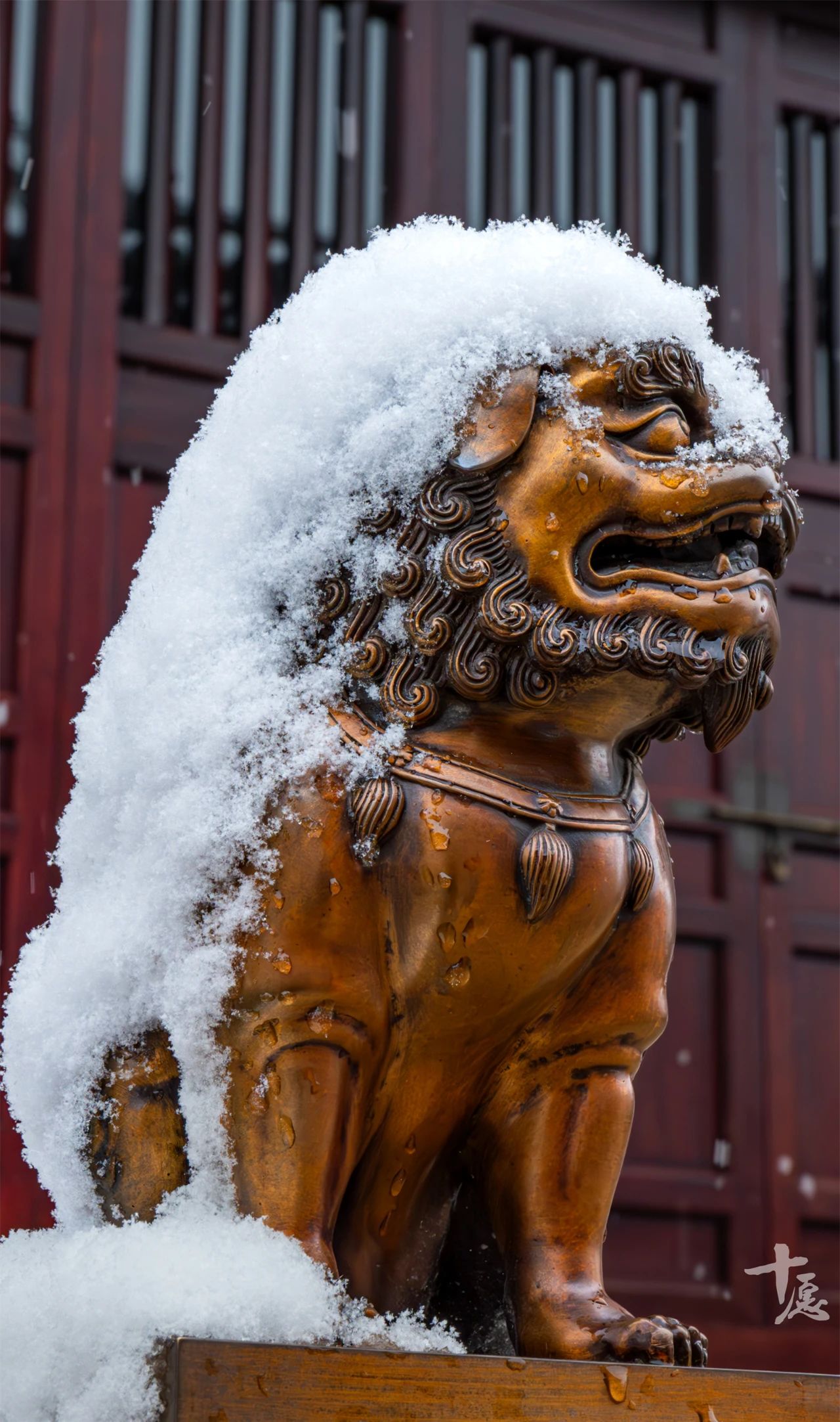 一位出家人的禅旅自述：雪落天台山，这一刻我像是候鸟找到了回家路