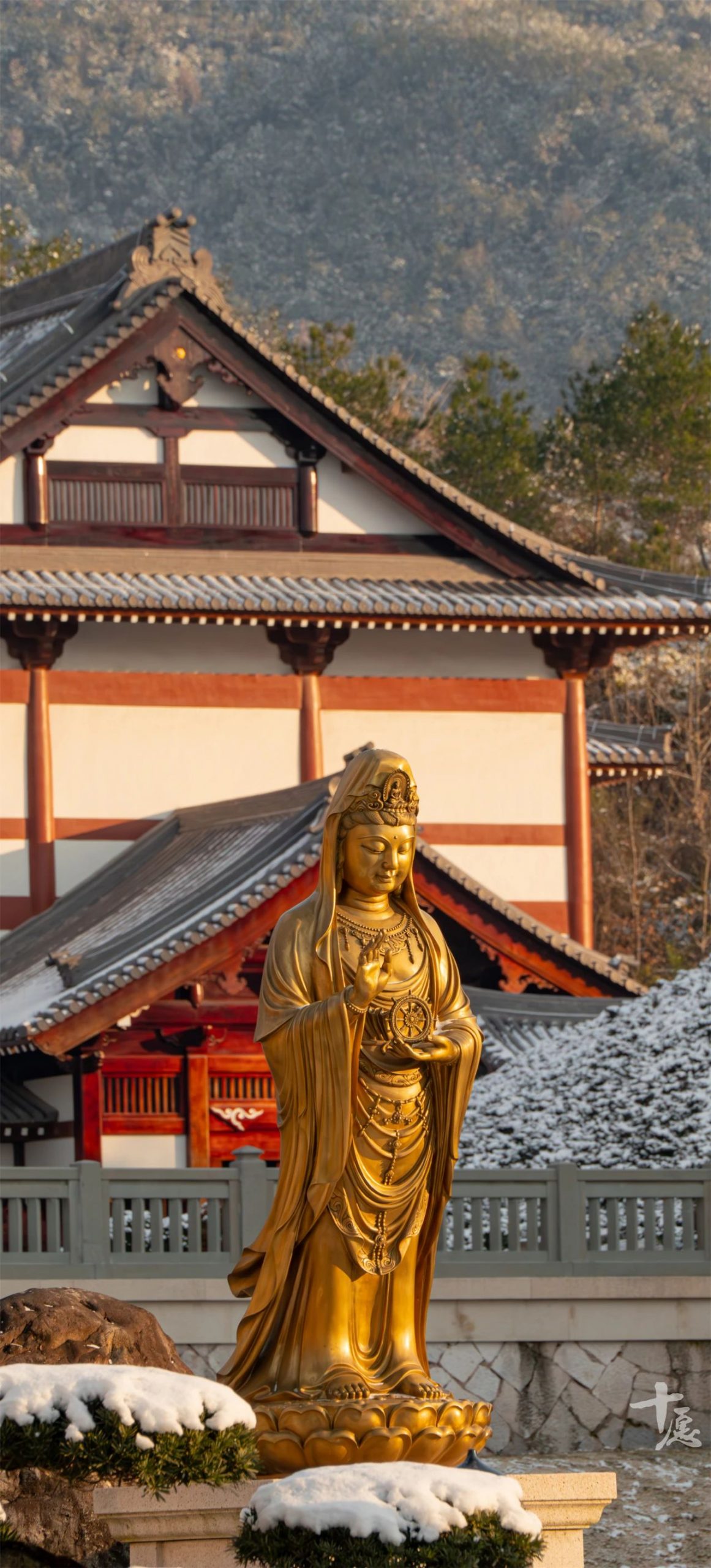 一位出家人的禅旅自述：雪落天台山，这一刻我像是候鸟找到了回家路