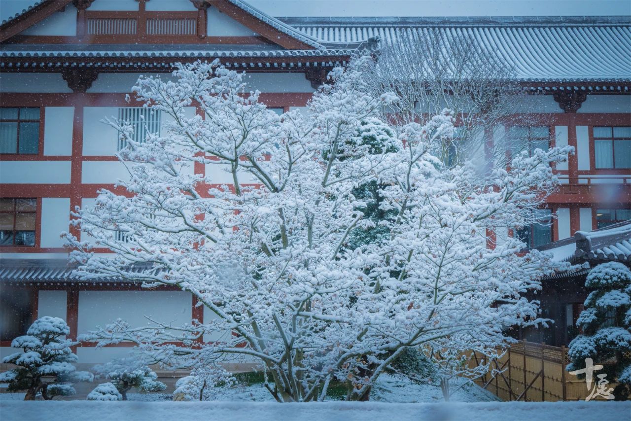 一位出家人的禅旅自述：雪落天台山，这一刻我像是候鸟找到了回家路