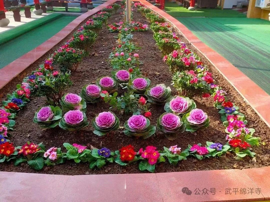 當度法师：有法的道场是和谐的