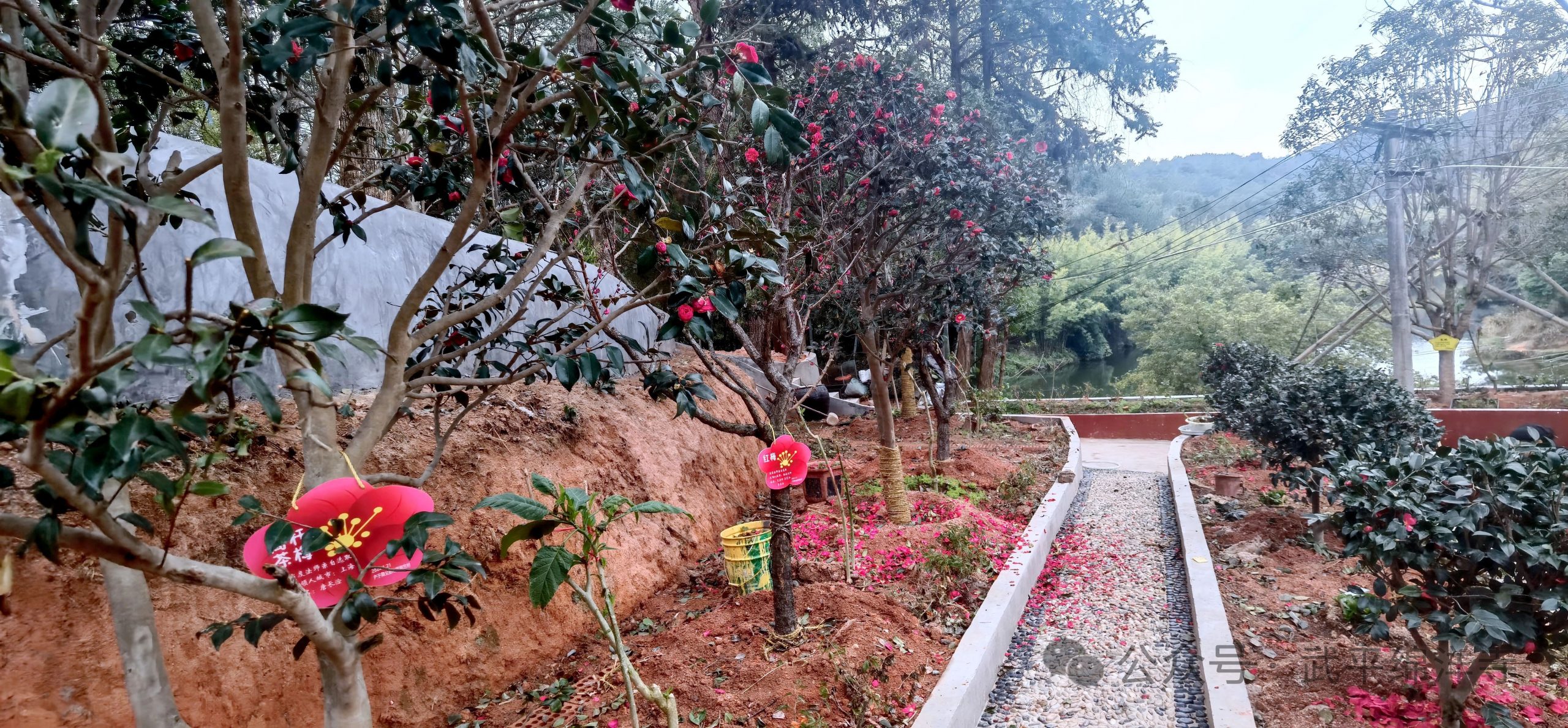 當度法师：观念与修行