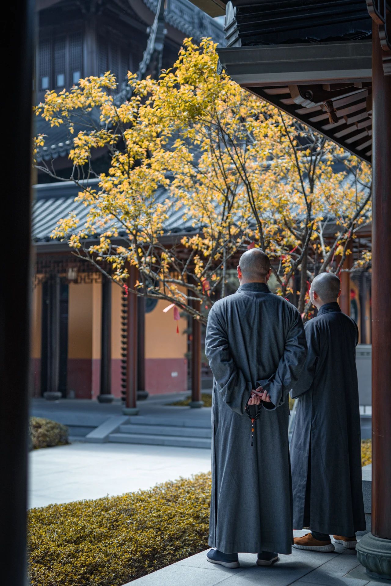 春节在寺院“挂单”，应注意的事项