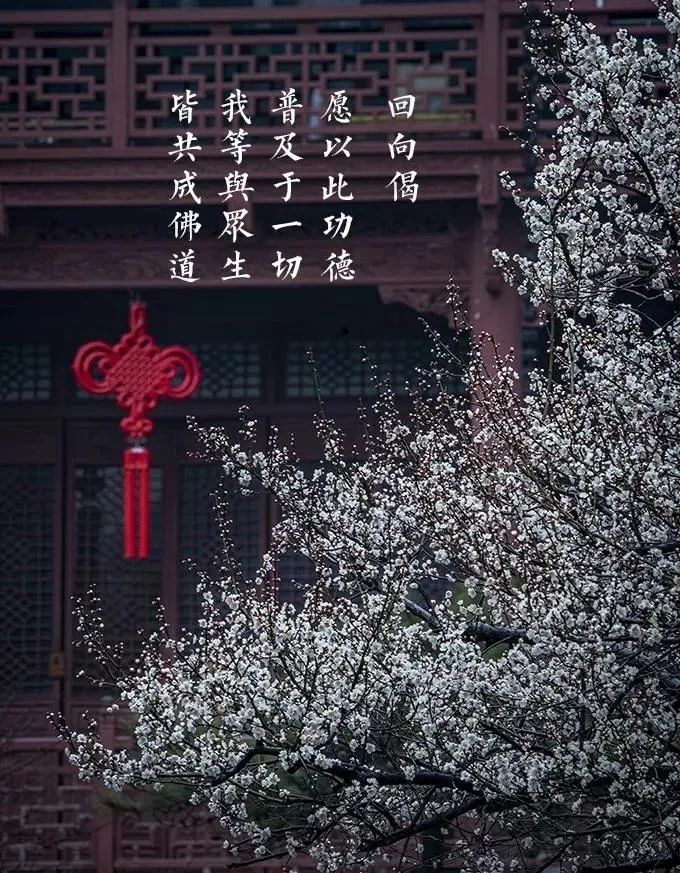 杭州灵隐寺举行甲辰新春供佛斋天法会 祈愿国土安宁 人民康乐​