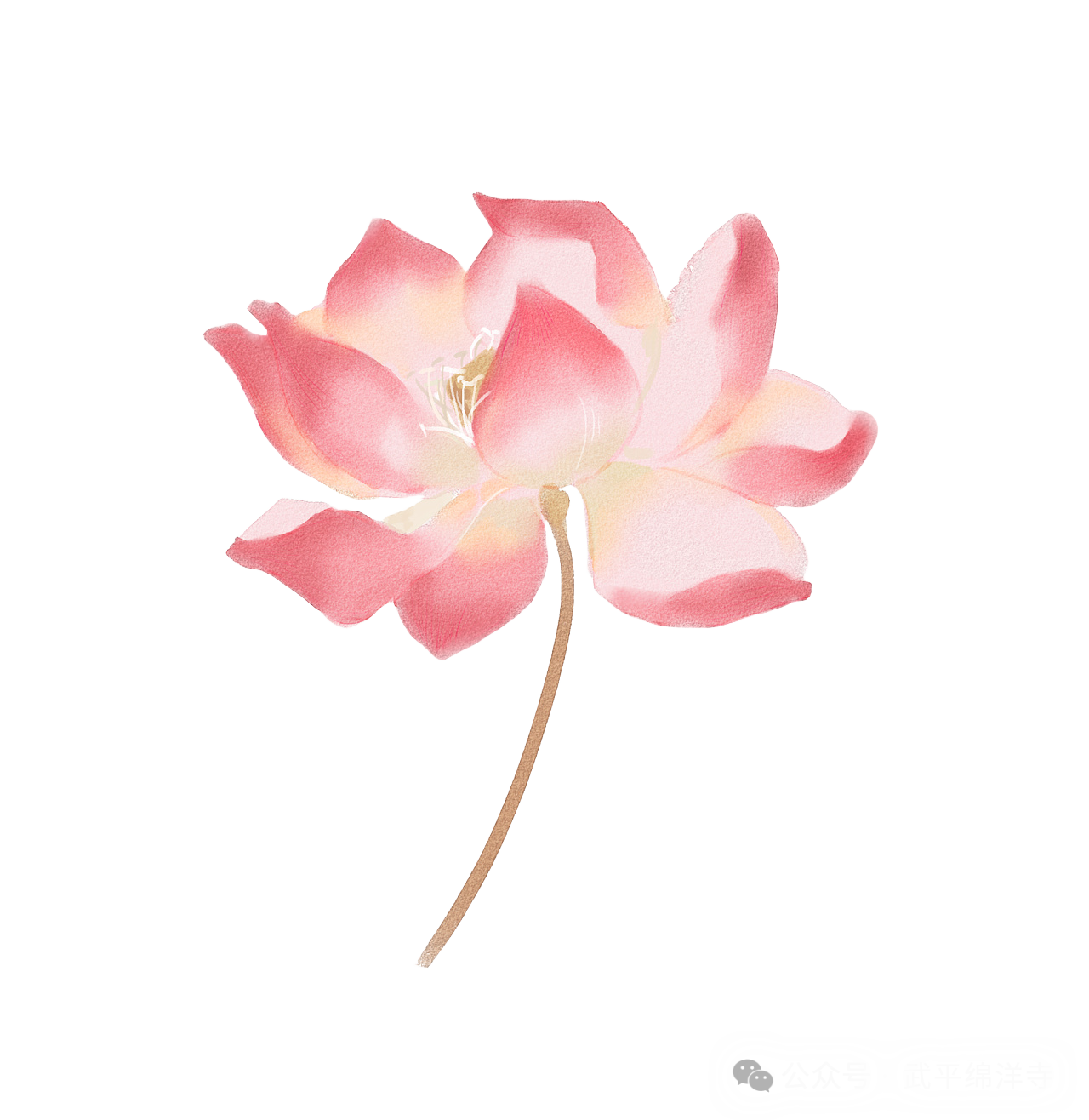 當度法师：小乘与大乘