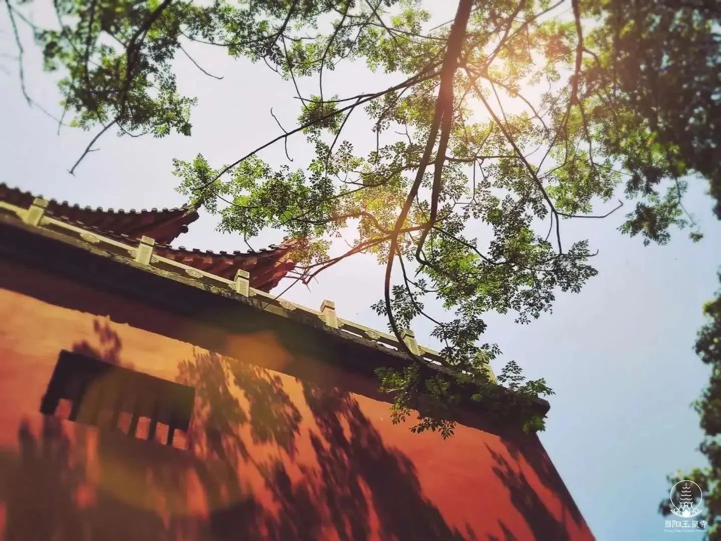 寺院的“请职”与“吃圆职茶”