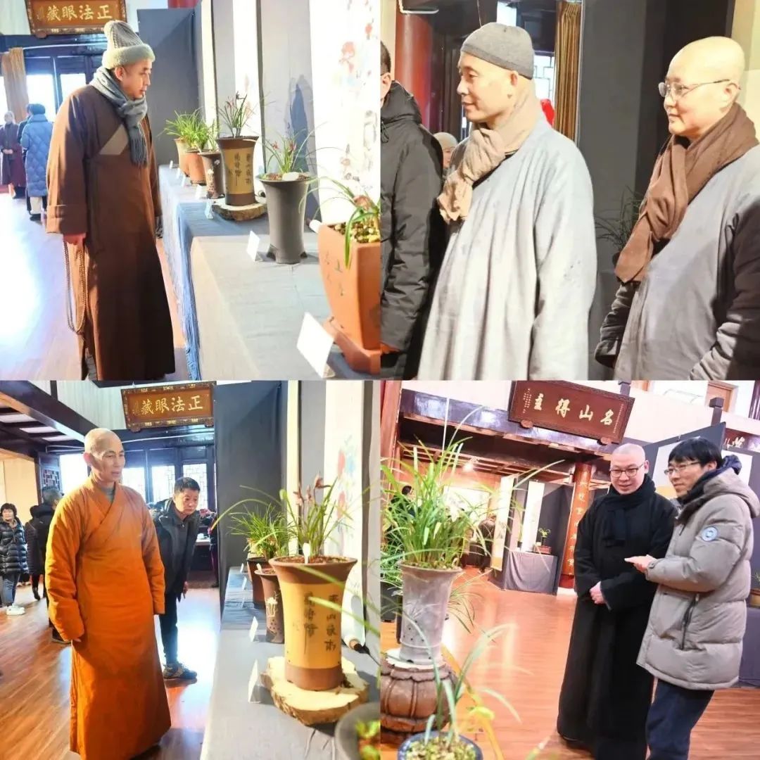 温州“美丽寺院”建设暨温州佛教书画院兰花展在能仁寺举行