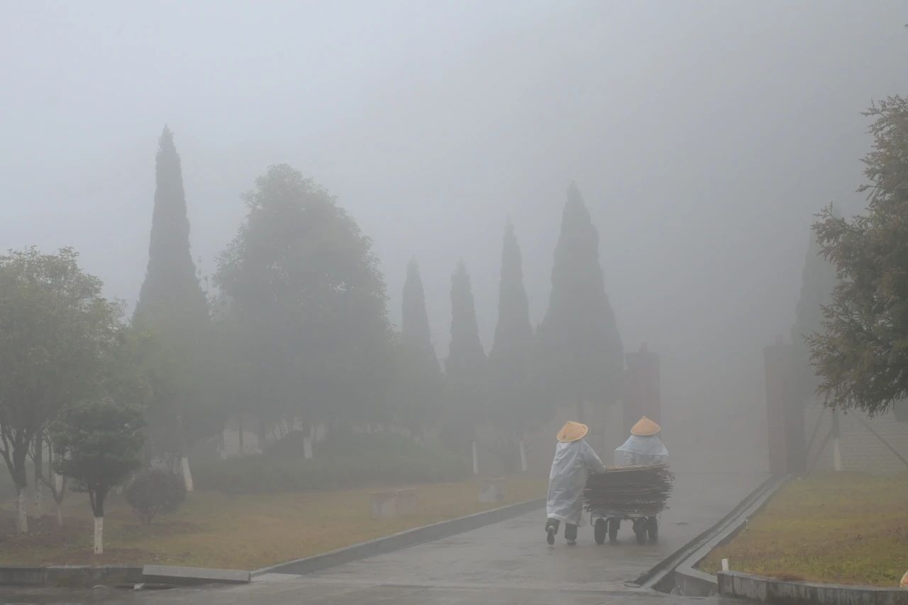 庚耘法师：从《百丈清规》看僧团制度的守正与创新 ▍等个人·听语堂第52期