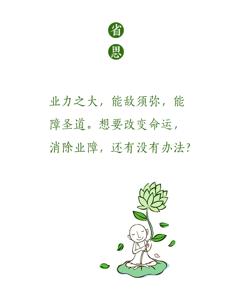 济群法师：除了它，谁都不是业力的对手