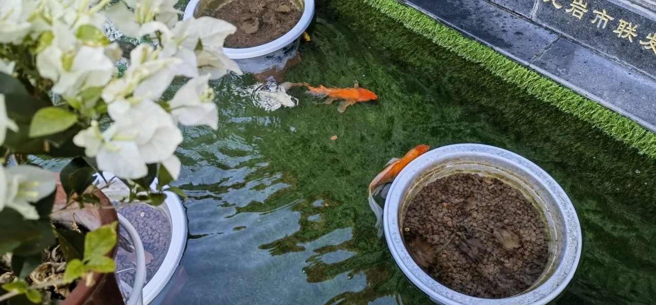 當度法师：遇到问题怎么办