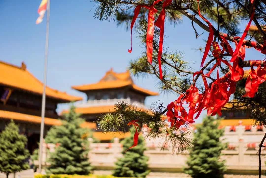 在寺院做义工真的没有“报酬”吗？