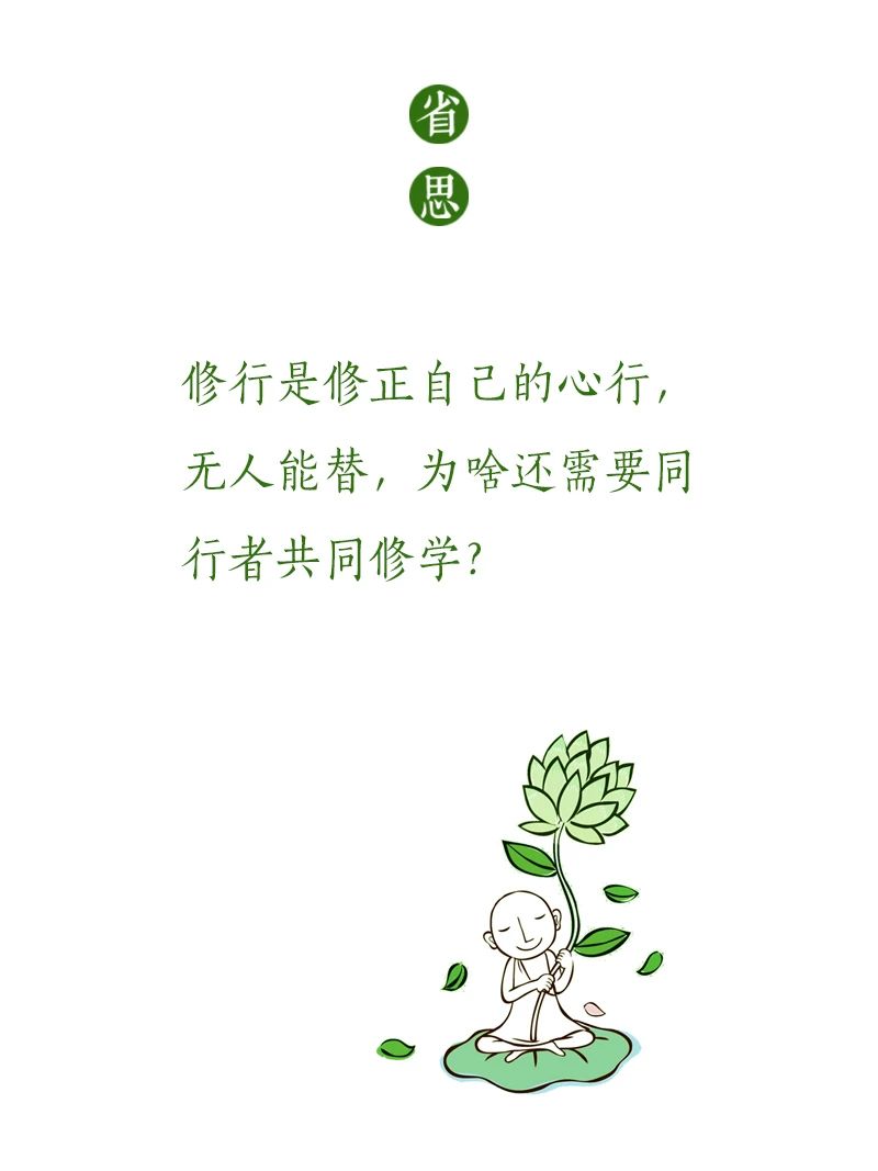 济群法师：谁是你的善知识？