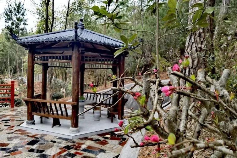 當度法师：什么是真正有生命的人